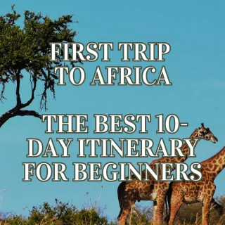 Planning your first trip to Africa but only have 10 days? Here's exactly where to go, what it costs, and how to build a route that mixes safari, culture, and rest without burning out. A first-timer's guide from someone who plans this for a living.https://justpartir.com/2026/07/07/first-trip-africa/#africatravel #kenyatravel #southafricatravel #africatrip #traveltoafrica #adventuretravel